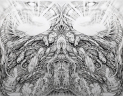 The Mechonado Symmetry