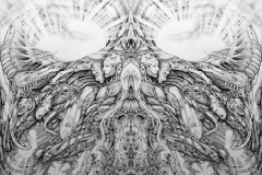 The Mechonado Symmetry